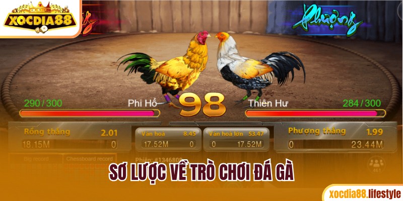 Sơ lược về game đá gà tại sân chơi Xocdia88